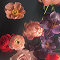 stroree_01-2